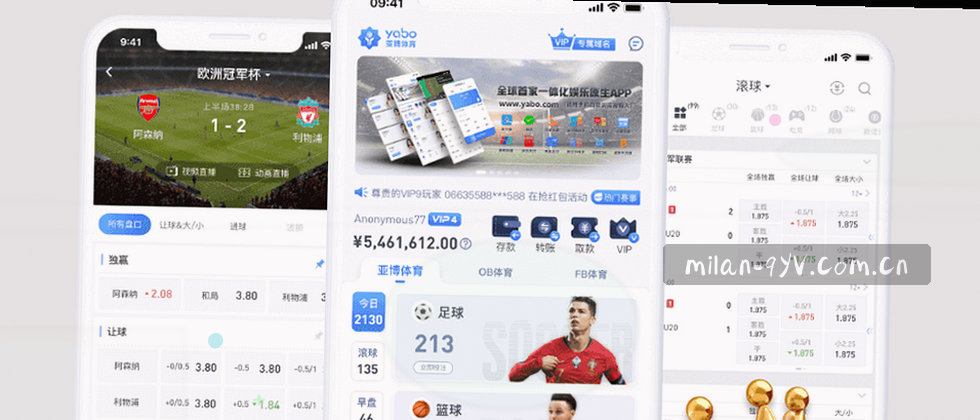 隐私保护与数据安全声明